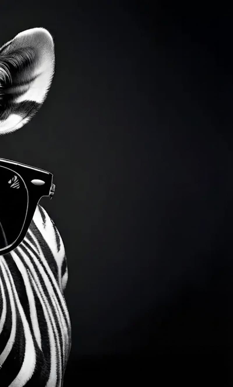 Zebra Producciones - Contacto